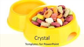  Presentation with dry - Amazing presentation theme having animal food - dry dog treats in bowl backdrop and a white colored foreground