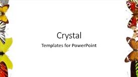  Presentation with butterflies - Audience pleasing presentation design consisting of animal frames - butterflies frame backdrop and a white colored foreground