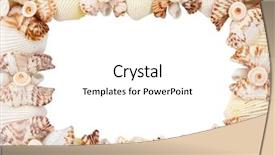  Presentation with sea shells - Audience pleasing slide deck consisting of animal frames - sea shells frame isolated backdrop and a  colored foreground