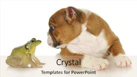  Presentation with english tenses - Amazing slides having animal friends - bulldog and bullfrog - english backdrop and a lemonade colored foreground