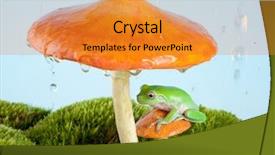  Presentation with frog - Cool new presentation theme with animal fungi - white-lipped tree frog backdrop and a gold colored foreground