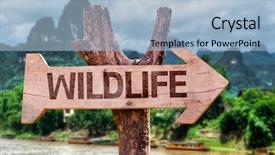  Presentation with blue aged wood sign - Cool new slide deck with animal fungi - wildlife wooden sign with forest backdrop and a  colored foreground