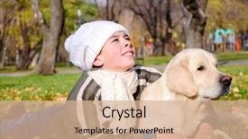  Presentation with dog park dogs plays - PPT theme with animal happy trail - boy playing in autumn park background and a  colored foreground