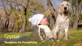  Presentation with dog park dogs plays - Cool new slides with animal happy trail - boy playing in autumn park backdrop and a tawny brown colored foreground
