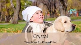  Presentation with golden - Presentation theme having young man playing with a puppy seated on couch at home background and a white colored foreground