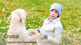  Presentation with golden - Theme with animal happy trail - boy playing in autumn park background and a  colored foreground