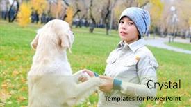  Presentation with dog park dogs plays - Audience pleasing slides consisting of animal happy trail - boy playing in autumn park backdrop and a  colored foreground