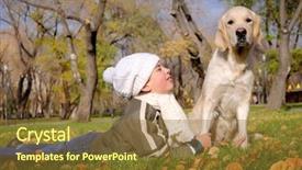  Presentation with dog park dogs plays - Presentation design consisting of animal happy trail - boy playing in autumn park background and a tawny brown colored foreground