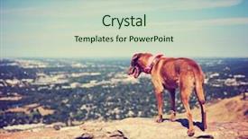  Presentation with climbing to top of mountain - Slides consisting of animal happy trail - dog sitting on a mountain background and a soft green colored foreground