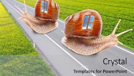 Presentation with mobile home - Presentation theme having animal happy trail - funny picture of a snails background and a light gray colored foreground