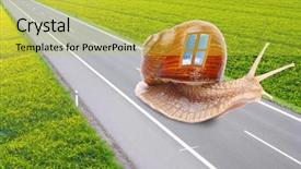  Presentation with mobile home - Slide deck consisting of animal happy trail - funny picture of a speedy background and a yellow colored foreground