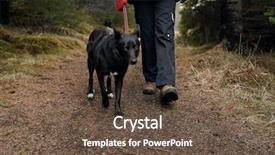  Presentation with companion - Beautiful PPT theme featuring animal happy trail - owner takes pet dog backdrop and a tawny brown colored foreground