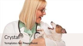  Presentation with puppy - Presentation featuring animal health - attractive female doctor veterinarian background and a lemonade colored foreground