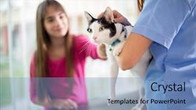  Presentation with cat - Presentation design consisting of animal health - cute girl brought her cat background and a teal colored foreground