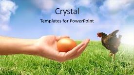  Presentation with hen - Cool new PPT theme with animal health - hen and a egg backdrop and a light blue colored foreground
