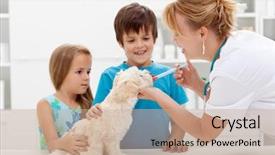  Presentation with animal health - Presentation having animal health - kids with their pet background and a coral colored foreground