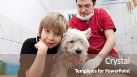  Presentation with sad dog abandoned dogs - Colorful presentation theme enhanced with animal health - little boy at vet listening backdrop and a violet colored foreground