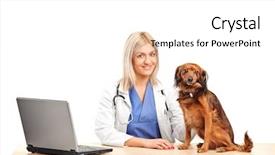  Presentation with puppy - Presentation theme having animal health - smiling female veterinarian background and a white colored foreground