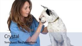  Presentation with animal health - Theme featuring animal health - veterinary with a dog background and a teal colored foreground