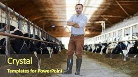  Presentation with animal husbandry - Beautiful slides featuring animal husbandry - young man with his arms backdrop and a tawny brown colored foreground