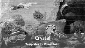  Presentation with animal - Colorful theme enhanced with animal life at the bottom backdrop and a dark gray colored foreground