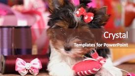  Presentation with lover - Beautiful theme featuring animal lover - beaver puppy and a sewing backdrop and a tawny brown colored foreground