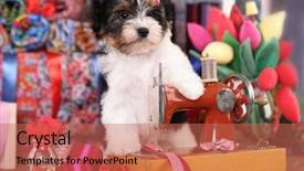  Presentation with lover - Beautiful slide set featuring animal lover - beaver puppy and a sewing backdrop and a coral colored foreground