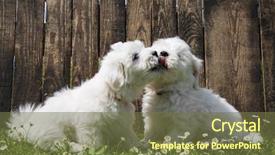  Presentation with dog baby cute child - PPT theme having animal lover - big love two baby dogs background and a tawny brown colored foreground