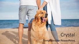  Presentation with walking - Beautiful PPT theme featuring animal lover - closeup of cute dog walking backdrop and a coral colored foreground
