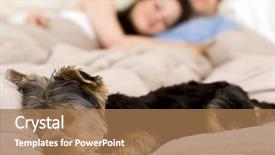  Presentation with dog - PPT theme enhanced with animal lover - happy couple laying in bed background and a coral colored foreground