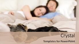  Presentation with bed - Audience pleasing presentation theme consisting of animal lover - happy couple laying in bed backdrop and a coral colored foreground