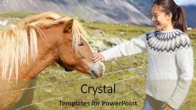  Presentation with lover - Presentation with animal lover - horse - woman petting icelandic background and a yellow colored foreground