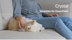  Presentation with lover - Audience pleasing presentation design consisting of animal lover - woman cuddle her dog backdrop and a gray colored foreground