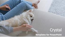  Presentation with lover - Beautiful presentation design featuring animal lover - woman touch on her pomeranian backdrop and a gray colored foreground