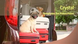  Presentation with travel animal - Amazing presentation theme having animal movement - car trunk with cute pug backdrop and a violet colored foreground