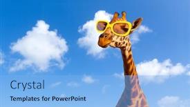  Presentation with animal nature - Beautiful presentation theme featuring animal-nature-and-wildlife-concept backdrop and a light blue colored foreground