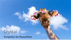  Presentation with animal nature - Presentation consisting of animal-nature-and-wildlife-concept background and a light blue colored foreground