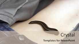  Presentation with medicinal cannabis - Beautiful theme featuring animal organ - medicinal leech-hirudo medicinalis backdrop and a  colored foreground