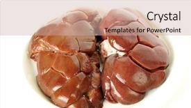  Presentation with kidneys - Cool new presentation theme with animal organ - raw beef kidneys backdrop and a soft green colored foreground