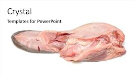  Presentation with meat food - Cool new slides with animal organ - tongue raw meat food isolated backdrop and a white colored foreground