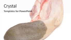  Presentation with meat food - Theme enhanced with animal organ - tongue raw meat food isolated background and a sky blue colored foreground