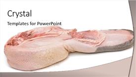  Presentation with meat food - Amazing theme having animal organ - tongue raw meat food isolated backdrop and a white colored foreground