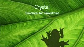  Presentation with frog - Amazing presentation having animal plant cell biology - sitting frog shadow backdrop and a forest green colored foreground