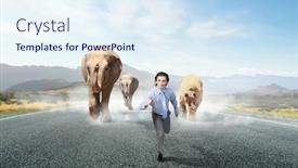  Presentation with power media - Colorful presentation design enhanced with animal power and stength mixed media backdrop and a sky blue colored foreground