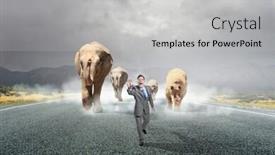  Presentation with power media - Slides featuring animal power and stength mixed media background and a light gray colored foreground