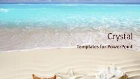  Presentation with animal print - Cool new presentation with animal print - caribbean shell and starfish backdrop and a lemonade colored foreground