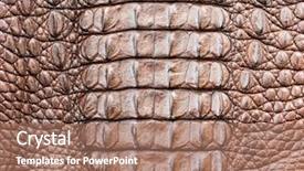  Presentation with crocodile - Slide deck featuring animal print - crocodile skin texture background and a coral colored foreground