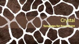  Presentation with animal print - Slides featuring animal print - giraffe pattern for background background and a tawny brown colored foreground