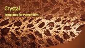  Presentation with pattern - Audience pleasing PPT theme consisting of animal print - leopard pattern texture backdrop and a tawny brown colored foreground