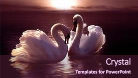  Presentation with animal print - PPT theme consisting of animal print - loving swans forming a heart background and a wine colored foreground